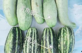 国产网红吃瓜公众号